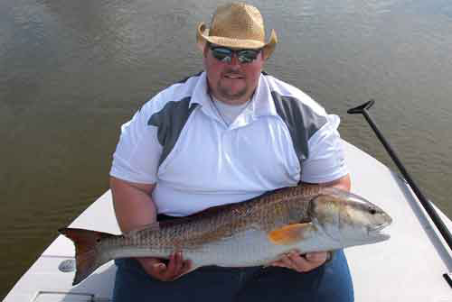 mosquito lagoon giant red drum