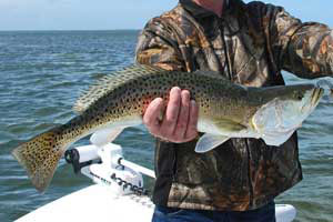 trout fishing charters near orlando