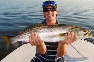 indian river seatrout