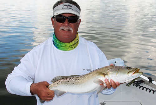 spotted seatrout in mosquito lagoon
