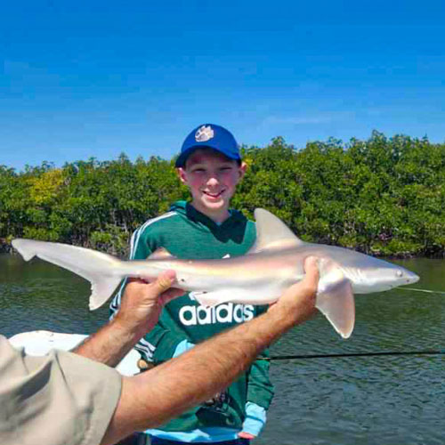 shark fishing orlando